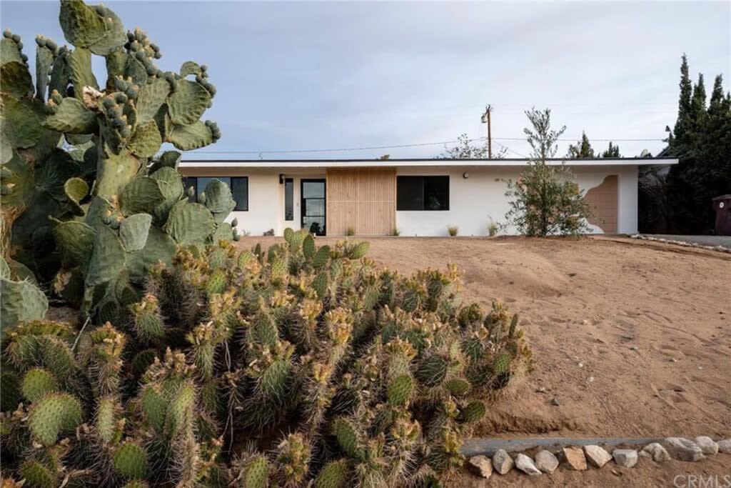 Joshua Tree - Le Tout Petit W Hot Tub Exterior foto